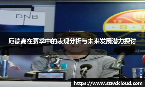 厄德高在赛季中的表现分析与未来发展潜力探讨